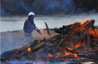 Japan's devastation