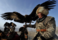 #CHINA-XINJIANG-AKQI-FALCON-TRAINING (CN)