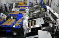#CHINA-ZHEJIANG-JAPAN QUAKE-VEGETABLES (CN)