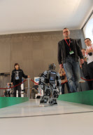 AUSTRIA-VIENNA-ROBOT CHALLENGE