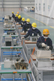 #CHINA-WUHAN-ELECTRO-WASTES PROCESSING PLANT (CN)