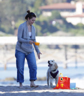 EXCLUSIVE Alyson Hannigan, husband Alexis Denisof and daughter Satyana go to the beach