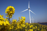 #CHINA-JIANGSU-WIND POWER GENERATION (CN)