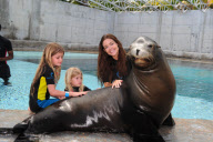 Denise Richards Visits Dolphin Cay at the Atlantis