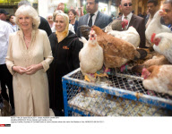 MOROCCO: Prince Charles and Camilla in Fes