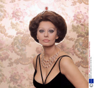 Sophia Loren