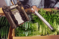 **CHINA-HONG KONG-STRENGTHENED FOOD INSPECTION (CN)