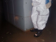 Fukushima Daiichi Power Station inspection