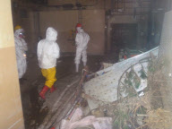 Fukushima Daiichi Power Station inspection