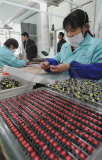 CHINA-CHONGQING-MICRO ENTERPRISE (CN)