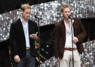 Diana memorial concert