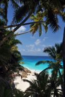 Fregate Island Private Resort, Seychelles - Feb 2011