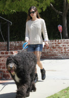 Rachel Bilson's Dog Love
