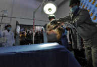 CHINA-LIAONING-FUSHUN-LARGA SEAL-OPERATION (CN) 