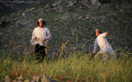 Jewish settlers throw stones at Palestinian villagers, Har Bracha settlement, Israeli occupied West bank - 19 Apr 2011