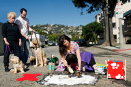 Artists David Luciano and Claudia Ficca turn potholes into works of art, Montreal, Canada - 2009