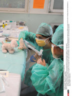 NANCY: Hospital for teddy bears