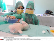NANCY: Hospital for teddy bears