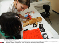 NANCY: Hospital for teddy bears