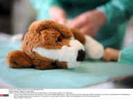 NANCY: Hospital for teddy bears