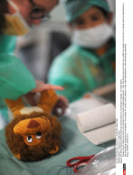 NANCY: Hospital for teddy bears