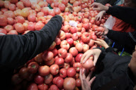 CHINA-BEIJING-VEGETABLE OVERSUPPLY-RELIEVE SELLING DIFFICULTY (CN)