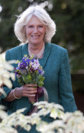 The Duchess of Cornwall Rota