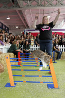 London Pet Show 2011, Olympia, London, Britain - 07 May 2011