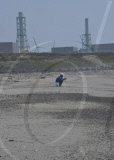 Hamaoka Nuclear Plant