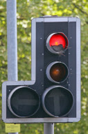 Roxanne the dove builds her nest in a red traffic light at a busy road junction, Basildon, Essex, Britain - 08 May 2011