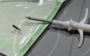 CHINA-GUANGZHOU-PET DOG-MICROCHIP IMPLANT (CN)