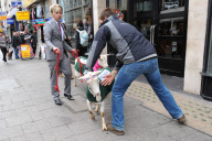 Promotion for Goats cheese in Oxford Street, London, Britain - 17 May 2011