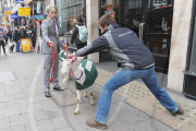 Promotion for Goats cheese in Oxford Street, London, Britain - 17 May 2011