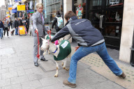 Promotion for Goats cheese in Oxford Street, London, Britain - 17 May 2011