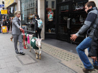 Promotion for Goats cheese in Oxford Street, London, Britain - 17 May 2011