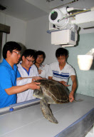 #CHINA-HEBEI-CANGZHOU-TURTLE-TREATMENT (CN)