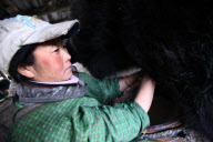 CHINA-TIBET-LHOBA ETHNIC GROUP-LIFE (CN)