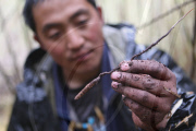 CHINA-TIBET-LHOBA ETHNIC GROUP-LIFE (CN)