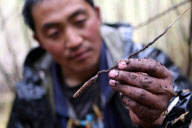 CHINA-TIBET-LHOBA ETHNIC GROUP-LIFE (CN)