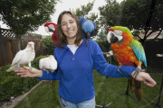 Julie Cardoza and her performing parrots, San Jose, California, America - Dec 2010