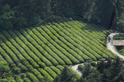 CHINA-ZHEJIANG-TIANTAI MOUTAIN-TOURISM DAY (CN)