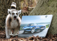 Lemurs look at a BMW car brochure as part of enrichment programme at Drayton manor Zoo, Staffordshire, Britain - 19 May 2011