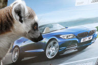 Lemurs look at a BMW car brochure as part of enrichment programme at Drayton manor Zoo, Staffordshire, Britain - 19 May 2011