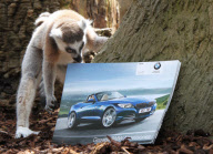 Lemurs look at a BMW car brochure as part of enrichment programme at Drayton manor Zoo, Staffordshire, Britain - 19 May 2011