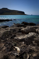 Dead goat, Balos Bay, Crete, Greece