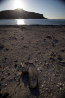 Discarded shoe on Balos Beach, Crete, Greece