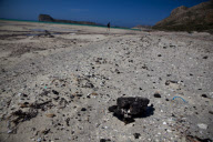 Tarballs on the beach Balos Bay, Crete, Greece