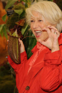 RHS Chelsea Flower Show