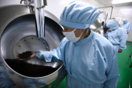 **CHINA-TIBET-NYINGCHI-TIBETAN MEDICINE (CN)