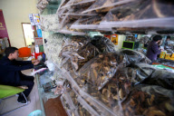 **CHINA-TIBET-NYINGCHI-TIBETAN MEDICINE (CN)